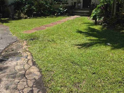 Lawn Care service in Opa Locka, 33054