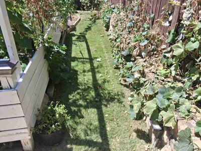 Lawn Care service in Keller, 76248