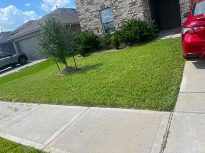 Lawn Care service in Winnie, 77665