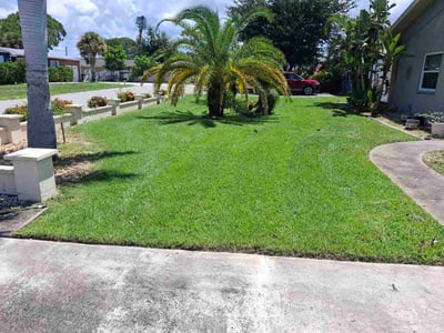 Lawn Care service in Boca Raton, 33431
