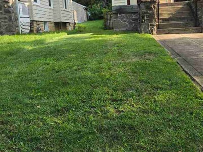 Lawn Care service in Washington, 20036