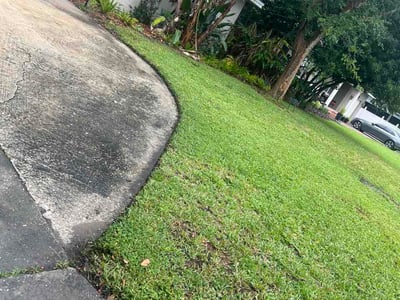 Lawn Care service in Casselberry, 32707