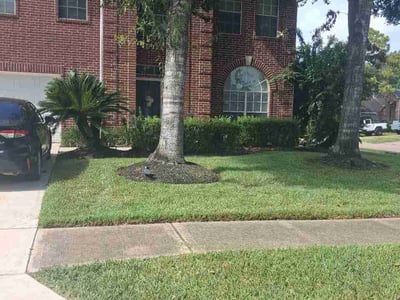 Lawn Care service in Stafford, 77477