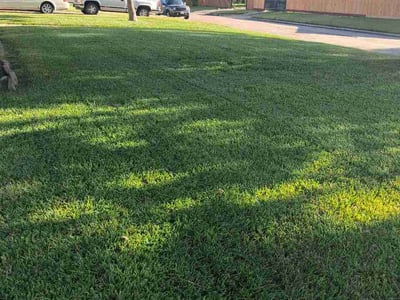 Lawn Care service in Liberty, 77575