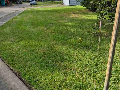 Lawn Care service in Lake Jackson, 77566