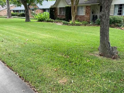 Lawn Care service in Lake Jackson, 77566