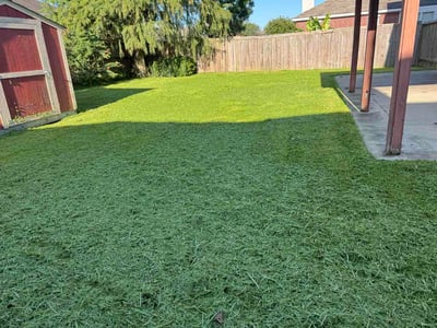 Lawn Care service in League City, 77573