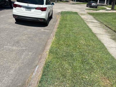 Lawn Care service in League City, 77573