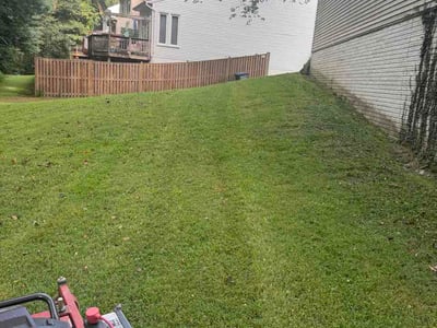 Lawn Care service in Burke, 22009