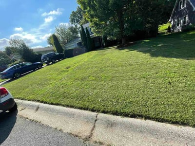 Lawn Care service in Potomac, 20036