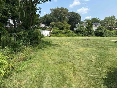 Lawn Care service in Potomac, 20036