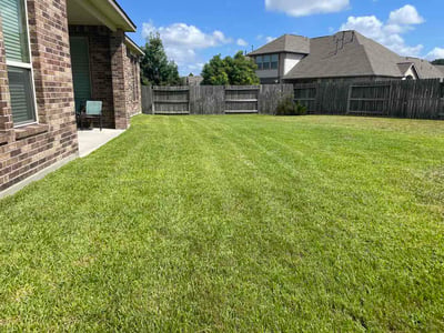 Lawn Care service in Cypress, 77429