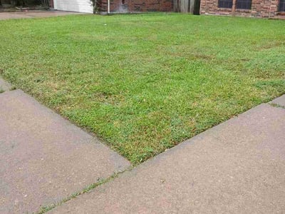 Lawn Care service in Cypress, 77429