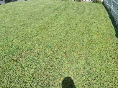 Lawn Care service in La Marque, 77568