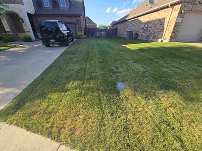 Lawn Care service in Granbury, 76048