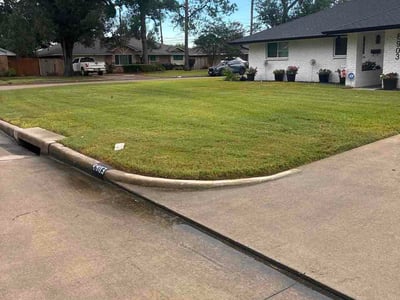 Lawn Care service in Alvin, 77511