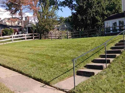 Lawn Care service in Chevy Chase, 20815
