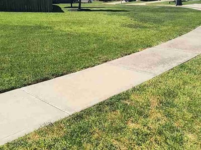 Lawn Care service in Bellaire, 77401