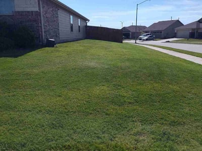 Lawn Care service in Haslet, 76052