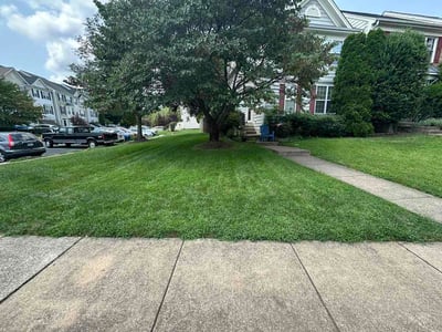 Lawn Care service in Leesburg, 20176