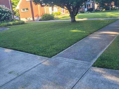 Lawn Care service in Centreville, 20120
