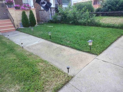 Lawn Care service in Edgewater, 21037