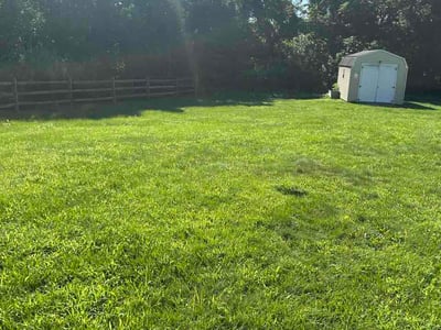 Lawn Care service in Millsboro, 19966