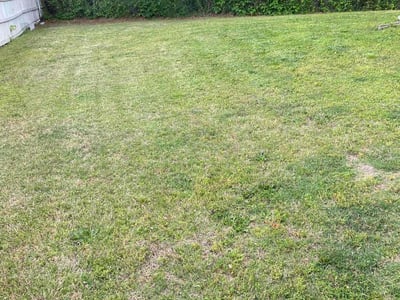 Lawn Care service in Goleta, 93117