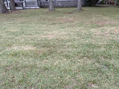 Lawn Care service in Santa Cruz, 95060
