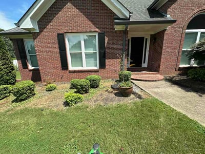 Lawn Care service in Middle Village, 11379