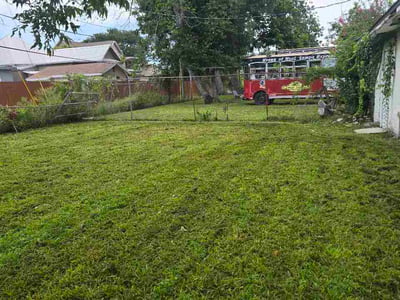 Lawn Care service in Fresh Meadows, 11366