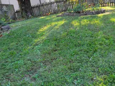 Lawn Care service in Fresh Meadows, 11366