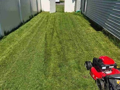 Lawn Care service in Lacey, 98503