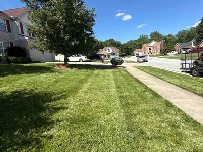 Lawn Care service in Cape May, 08204