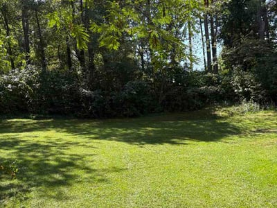 Lawn Care service in Point Pleasant Beach, 08742