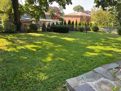 Lawn Care service in Elmhurst, 11373