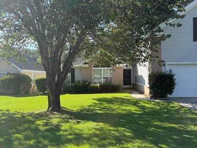 Lawn Care service in Richmond Hill, 11418