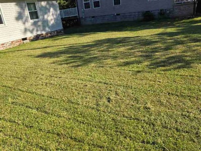 Lawn Care service in Saint Albans, 25177