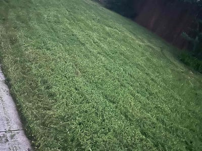 Lawn Care service in Old Bridge, 08857