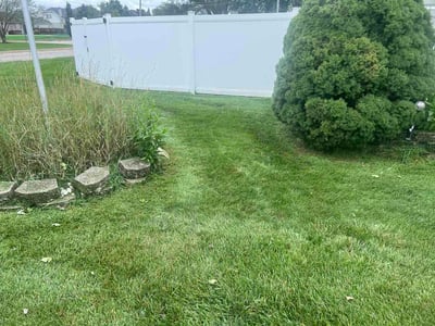 Lawn Care service in South Holland, 60473
