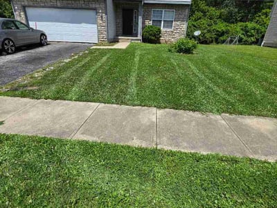 Lawn Care service in Ocean City, 08226