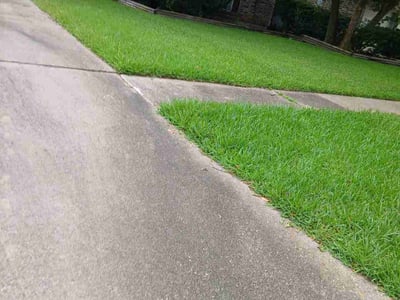 Lawn Care service in Salinas, 93901