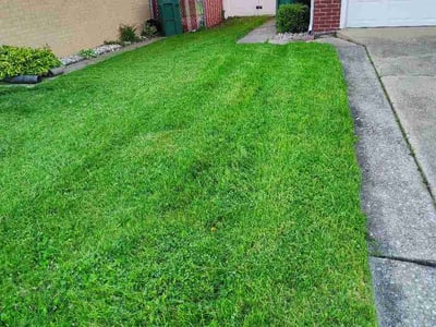 Lawn Care service in Merrillville, 46410