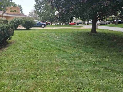 Lawn Care service in Merrillville, 46410