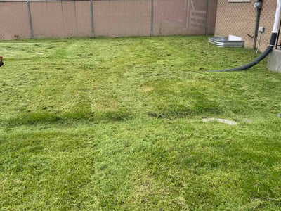 Lawn Care service in Merrillville, 46410