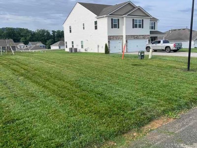 Lawn Care service in Bristol, 37620