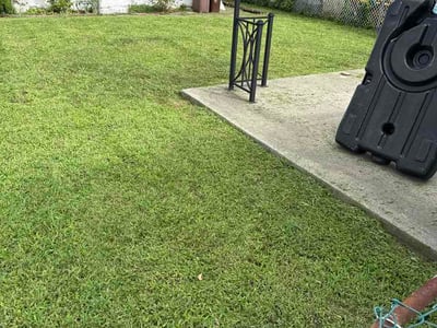 Lawn Care service in Long Island City, 11101