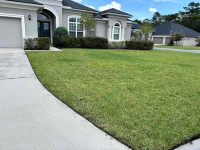 Lawn Care service in Long Island City, 11101