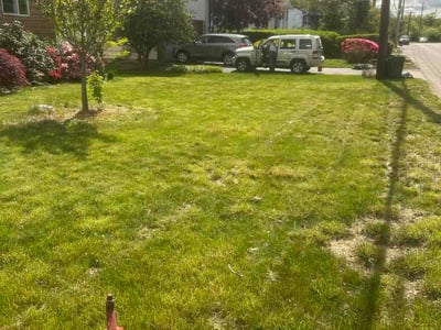 Lawn Care service in Long Beach, 11561