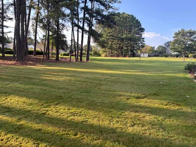 Lawn Care service in San Ramon, 94583